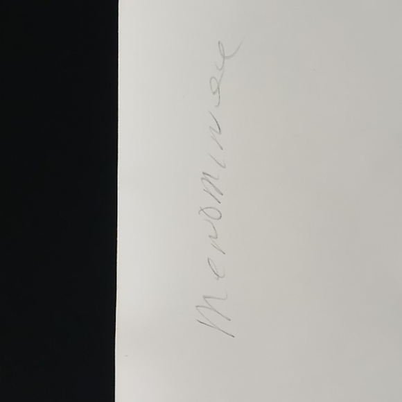 Original (circa 1920's) "Jim Crow" Photos by Harmon Percy Marble - 4 Photo Lot - Picture 7 of 11